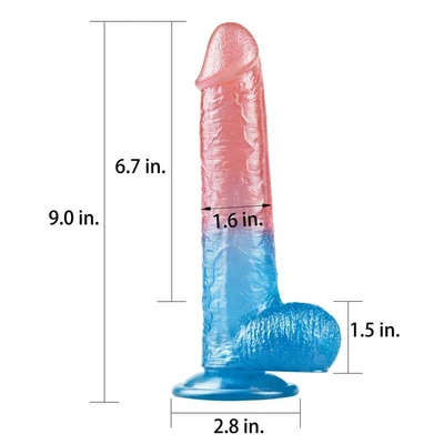 Šareni dildo 23cm LVTOY00417